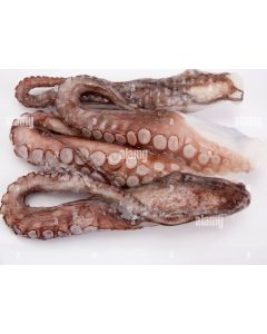 Octopus- 1kg