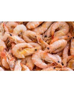 Local shrimps